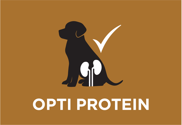 KRM13689_KRM13701_002