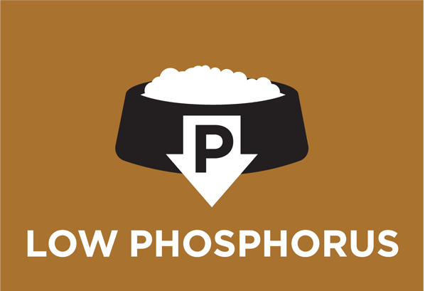 KRM13689_KRM13701_001