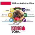 KONG Senior M - Letní tipy