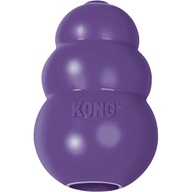 KONG Senior L - Letní tipy