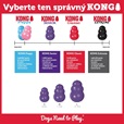 KONG Senior L - Letní tipy