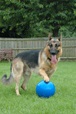 Company of Animals hračka Míč Boomer Ball plast 25 cm - Letní tipy