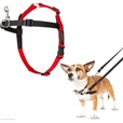 Company of Animals Halti Front Control Harness S - Výcvikové pomůcky