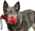Company of Animals Clix pešek tréninkový plovoucí nylon L - Hračky pro psy
