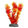 Rostlina plast Cuba Flamingo mix 9 cm - Dekorace, písky, pozadí, misky