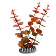 Rostlina plast Cuba Flamingo mix 9 cm - Dekorace, písky, pozadí, misky