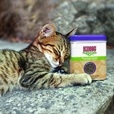 KONG Naturals Catnip 28 g - Hračky pro kočky, catnip