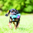 KONG Cozie Pastels M mix - Hračky pro psy