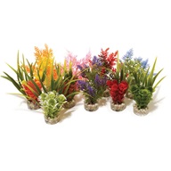 Rostlina Nano Fiesta 14 cm - Rostliny umělé