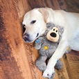 KONG Wild Knots Bear XS mix - Letní tipy