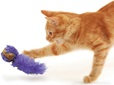 KONG Cat Active Cork Ball mix - Hračky pro kočky, catnip