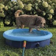 Nobby bazén pro psy 2v1 M 120 × 30 cm - Letní tipy