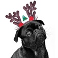Nobby Xmas čelenka sobí parohy hnědé - Oblečky pro psy: vesty, bundy, kombinézy