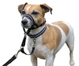 Company of Animals Halti Headcollar 1 - Výcvikové pomůcky