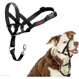 Company of Animals Halti Headcollar 2 - Výcvikové pomůcky