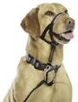Company of Animals Halti Headcollar 3 - Výcvikové pomůcky