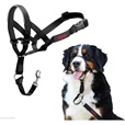 Company of Animals Halti Headcollar 5 - Výcvikové pomůcky