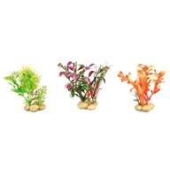 Rostlina plast s kameny, Flamingo mix 5x10cm - Výprodej