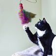 KONG Cat Wubba Teaser Boa mix - Hračky pro kočky, catnip