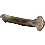 Jelení paroh maxi 140-160g - Výprodej