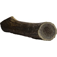 Jelení paroh gigant 180-230g - Výprodej