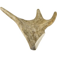 Dančí paroh maxi 140-160g - Pamlsky pro psy