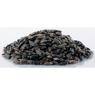 Slunečnice černá Biostan 20 kg - Výprodej