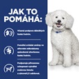 Hill's Prescription Diet Canine k/d Early Stage 12 kg - Granule pro psy