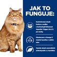 Hill's Prescription Diet Feline k/d + Mobility kaps.  12 × 85 g - Akční nabídka