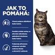 Hill's Prescription Diet Feline k/d Early Stage kaps. 12 × 85 g - Akční nabídka