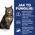 Hill's Prescription Diet Feline k/d Early Stage kaps. 12 × 85 g - Akční nabídka
