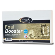 Horse Master Foal Booster 60ml (pasta 4x15 ml)  - Doplňky výživy pro koně