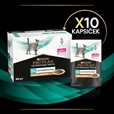Purina PPVD Feline - EN Gastrointestinal Chicken kapsička 10x85 g - Konzervy pro kočky