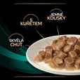 Purina PPVD Feline - EN Gastrointestinal Chicken kapsička 10x85 g - Konzervy pro kočky