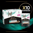 Purina PPVD Feline - EN Gastrointestinal Salmon kapsička 10x85 g - Konzervy pro kočky