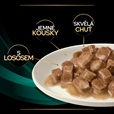 Purina PPVD Feline - EN Gastrointestinal Salmon kapsička 10x85 g - Konzervy pro kočky