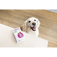 YuMOVE Digestive Care 120 tablet - Letní tipy