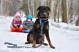 ManMat RUN Postroj krk 37–40 cm (XS) modrý - Postroje a příslušenství