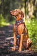 ManMat RUN Postroj krk 53–56 cm (XL) zelený - Postroje a příslušenství