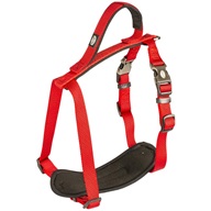 Postroj nylon North červený 1,5x40-50cm Duvo+ - Výprodej