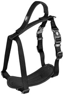 Postroj nylon North černý 2,5x65-80cm Duvo+