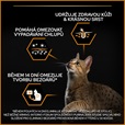 Pro Plan Cat Adult Derma Care losos 3 kg - Granule pro kočky, krmivo pro kočky
