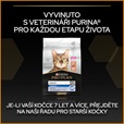 Pro Plan Cat Adult Derma Care losos 3 kg - Granule pro kočky, krmivo pro kočky
