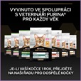 Pro Plan Cat Kitten Healthy Start kuře 10 kg - Granule pro kočky, krmivo pro kočky