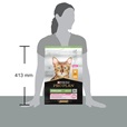 Pro Plan Cat Adult Sterilised Delicate Digestion kuře 3 kg  - Akční nabídka