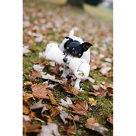 Pet's Up Buvolí uzel přírodní 28 cm - Pamlsky pro psy
