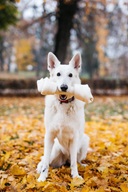 Pet's Up Buvolí uzel přírodní 33 cm