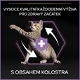 Pro Plan Cat Kitten Healthy Start kuře 400 g - Akční nabídka
