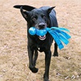KONG Wubba Comet L mix - Letní tipy
