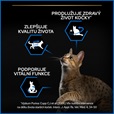 Pro Plan Cat Senior Longevis losos 3 kg - Akční nabídka